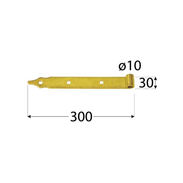 ZP 300 d 10 Závěs pásový 300x3,0 d 10 mm 1