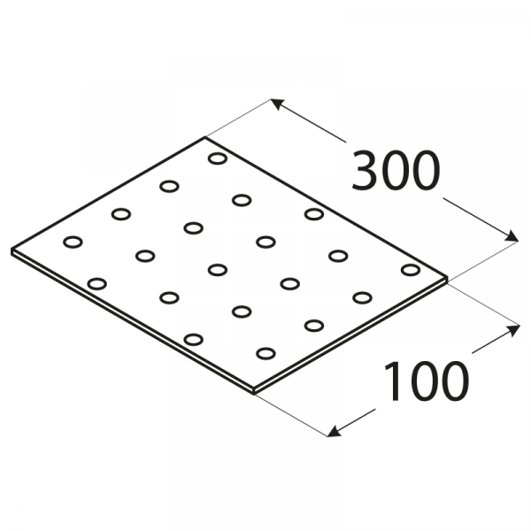 PP15 - destička perforovaná 300x100x2,0 mm 1