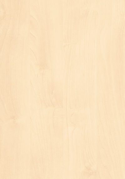 AbsEG H1733 ST9     43*2  Doprodej 3