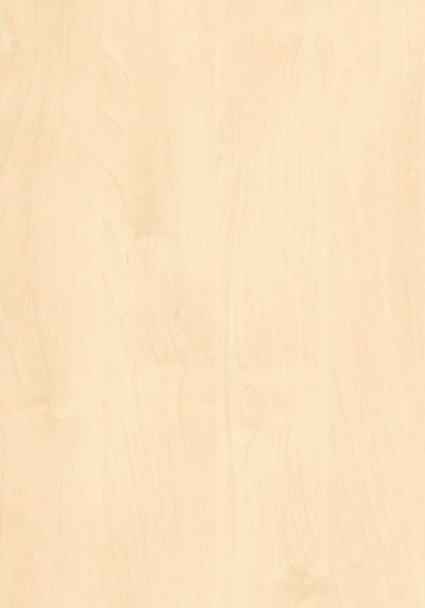 AbsEG H1733 ST9 43*2 Doprodej 3 1
