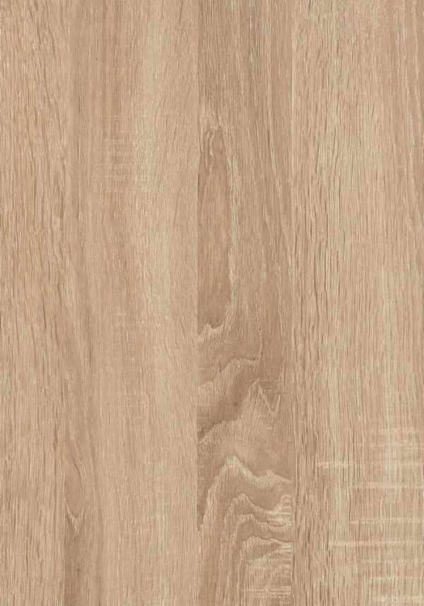 AbsEG H1145 ST10 23*2 1