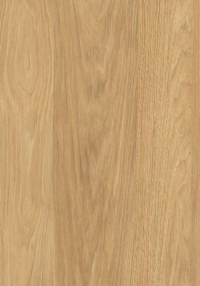 AbsEG H3730 ST10    43*2