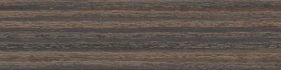 Abs wildf.285530 22*0,5 s LEPIDLEM  /5530 SN Doprodej