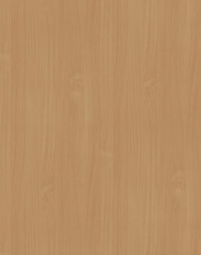 L 0381 BS Buk 2800*2070*18