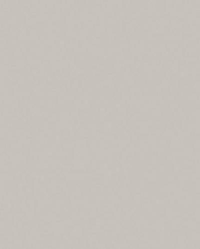 L 5981 BS  Cashmere 2800*2070*18