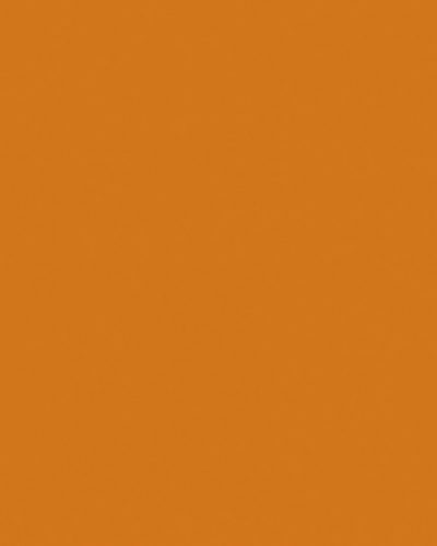 L 0132 BS Orange 2800*2070*18