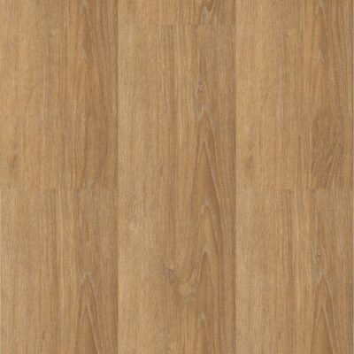 Ecoline Click 9555 Dub bush – Rigid