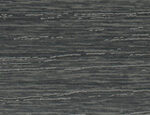 Abs 29116 carbon 22*0,5L /K016 PW