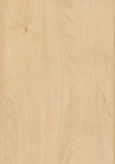 AbsEG H3840 ST9   23*0,8