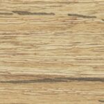 Abs 245573 dub coast gravir 22*0,5  /  K365 PW