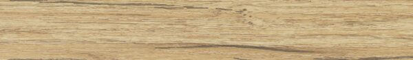Abs 245573 dub coast gravir 22*0,5  /  K365 PW