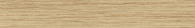 Abs dub 247303  22*0,5 G s LEPIDLEM  /H3303 ST10