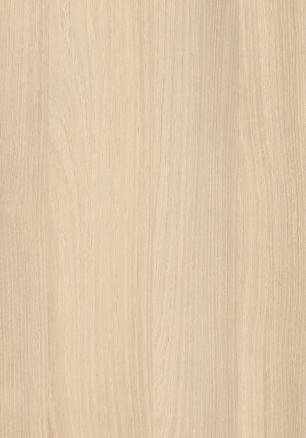 AbsEG H1277 ST9     28*2