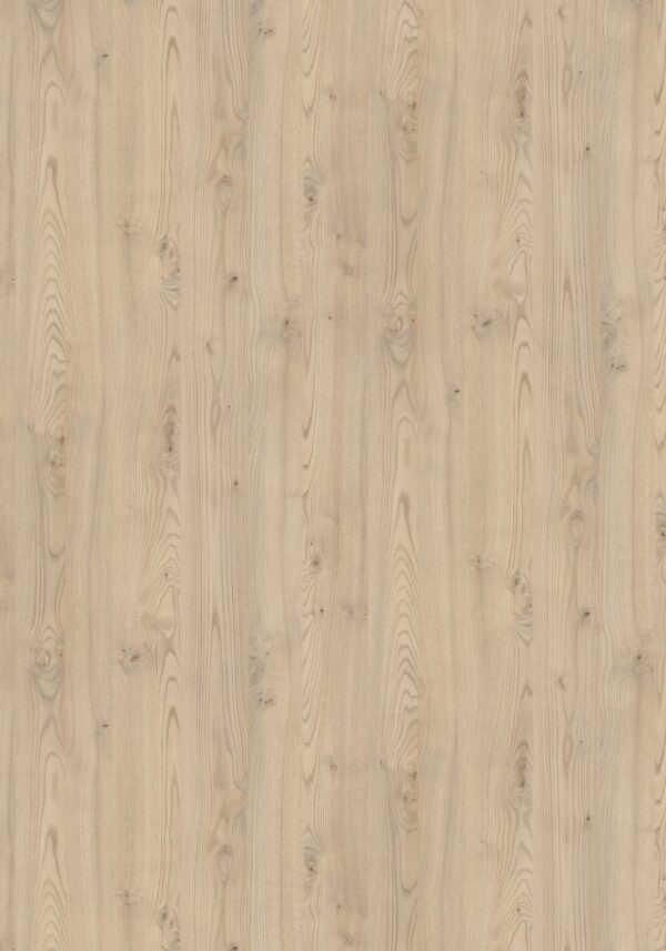 AbsEG H1710 ST10    23*2