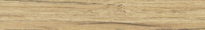 Abs 245573 dub coast gravir 42*2  /  K365 PW