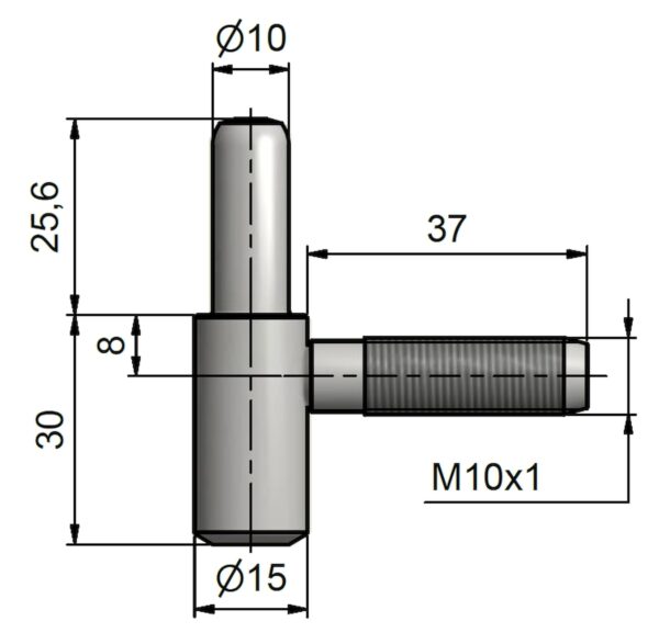 Závěs dver.60/10 SD M10 zinek stribrny 96080530