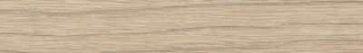 Abs dub 256500 22*0.5 G s LEPIDLEM /5500 SU