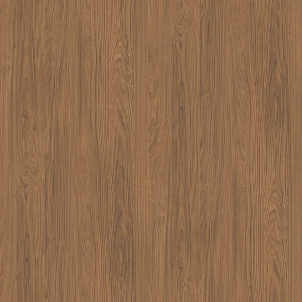 AbsEG H1386 ST40   43*2