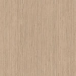 AbsEG H305 ST12   43*2