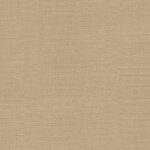 AbsEG F685 ST10   23*2