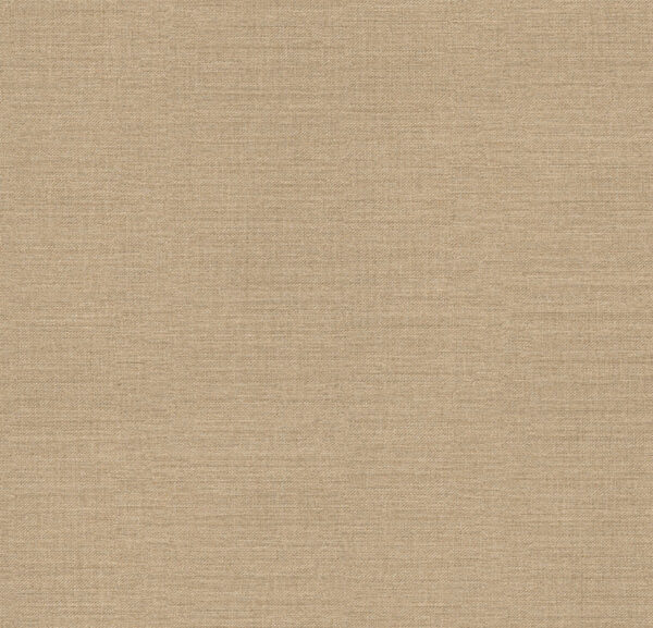 AbsEG F685 ST10   23*0,8