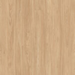 AbsEG H1242 ST10   43*2
